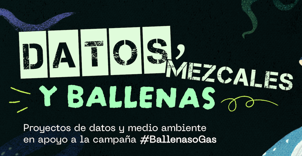 Datos mezcales y ballenas, proyectos de datos de medio ambiente